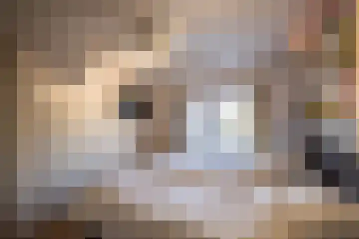 Jalinkstraat 37 Wierden thumbnail 20