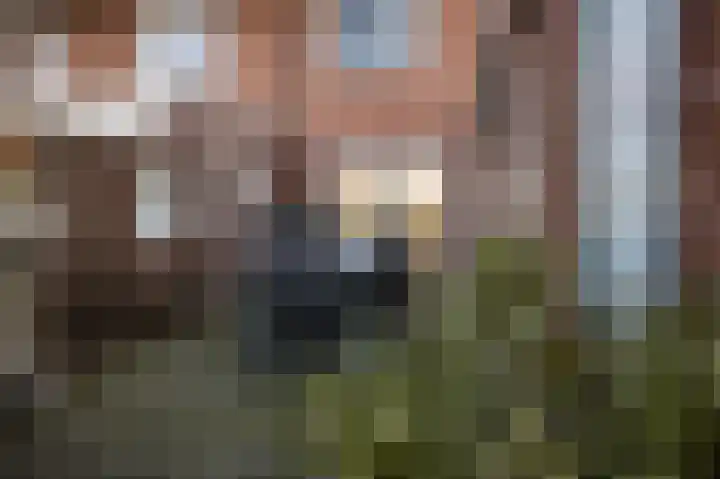 Jalinkstraat 37 Wierden thumbnail 26