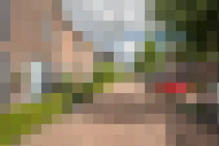 Jalinkstraat 37 Wierden thumbnail 31