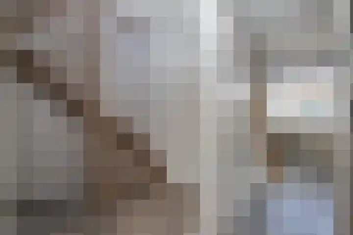 Jalinkstraat 37 Wierden thumbnail 8