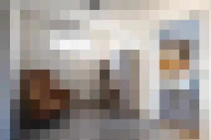 Jalinkstraat 37 Wierden thumbnail 9
