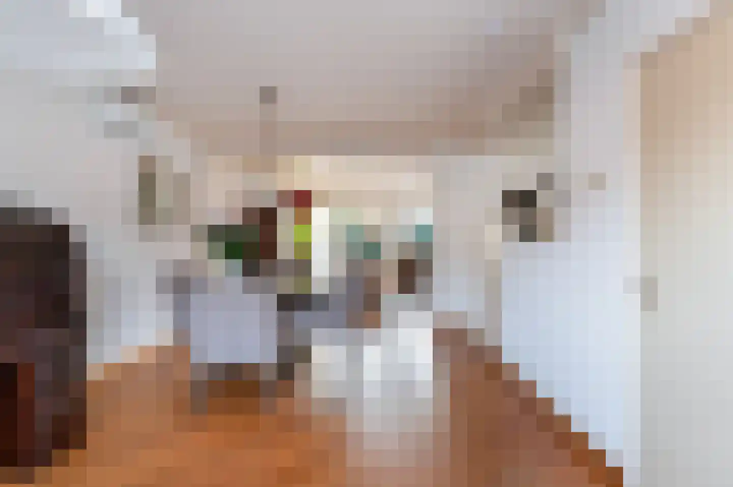 Jalinkstraat 38 Wierden thumbnail 13