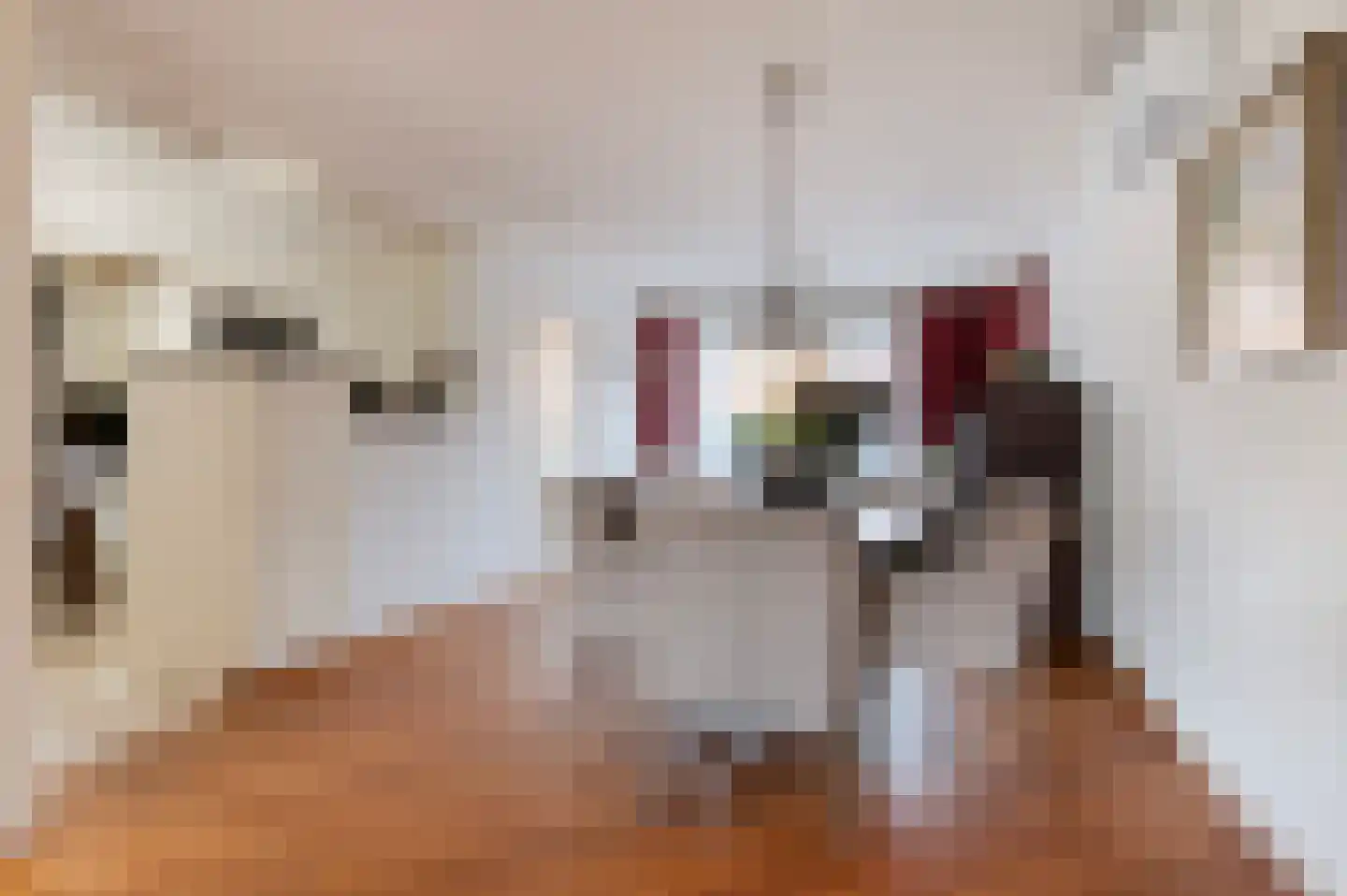 Jalinkstraat 38 Wierden thumbnail 15