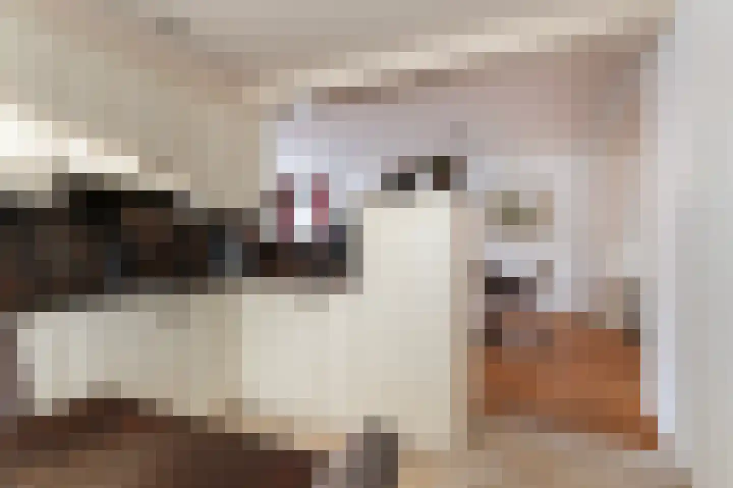 Jalinkstraat 38 Wierden thumbnail 16