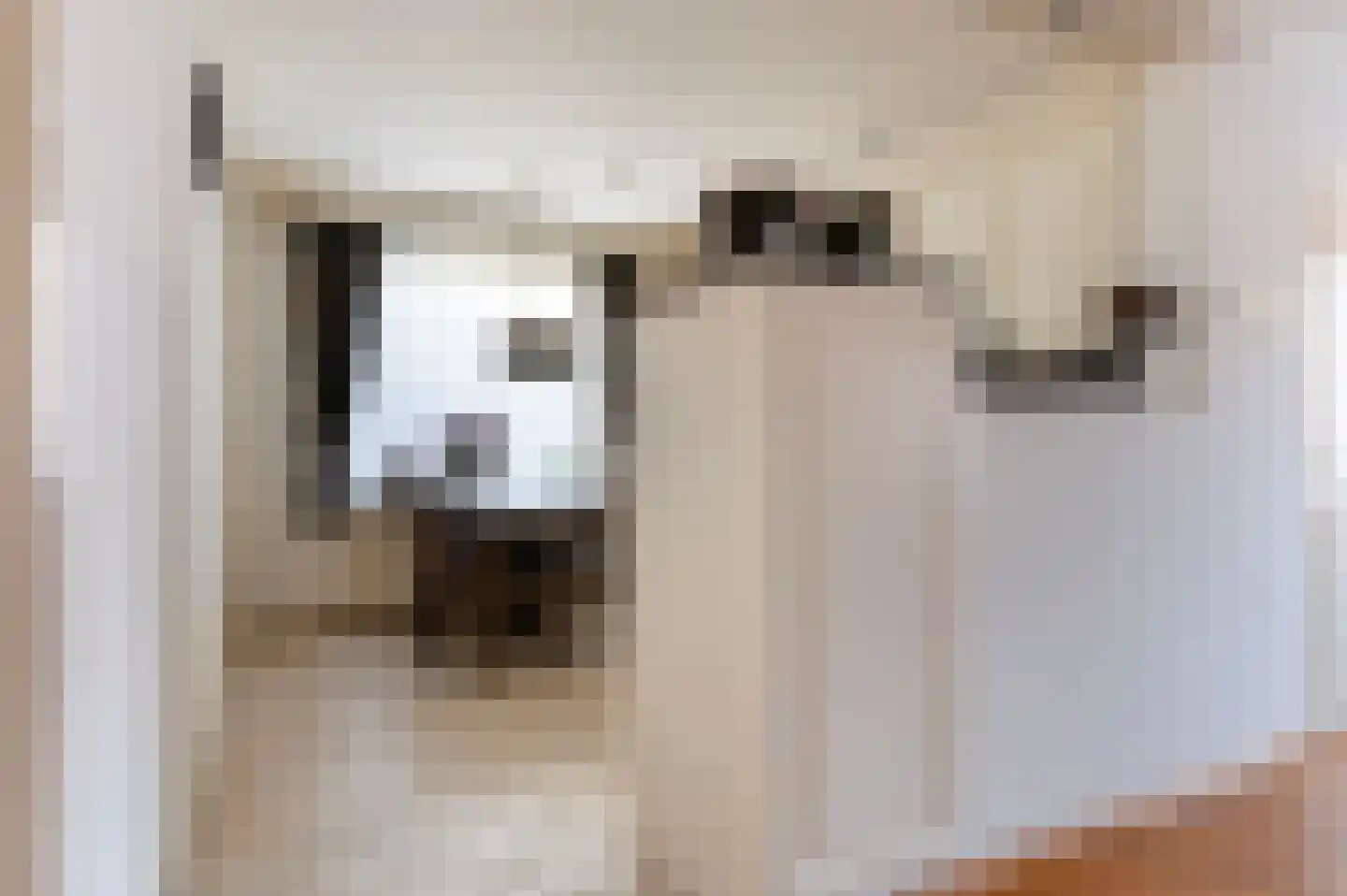 Jalinkstraat 38 Wierden thumbnail 18