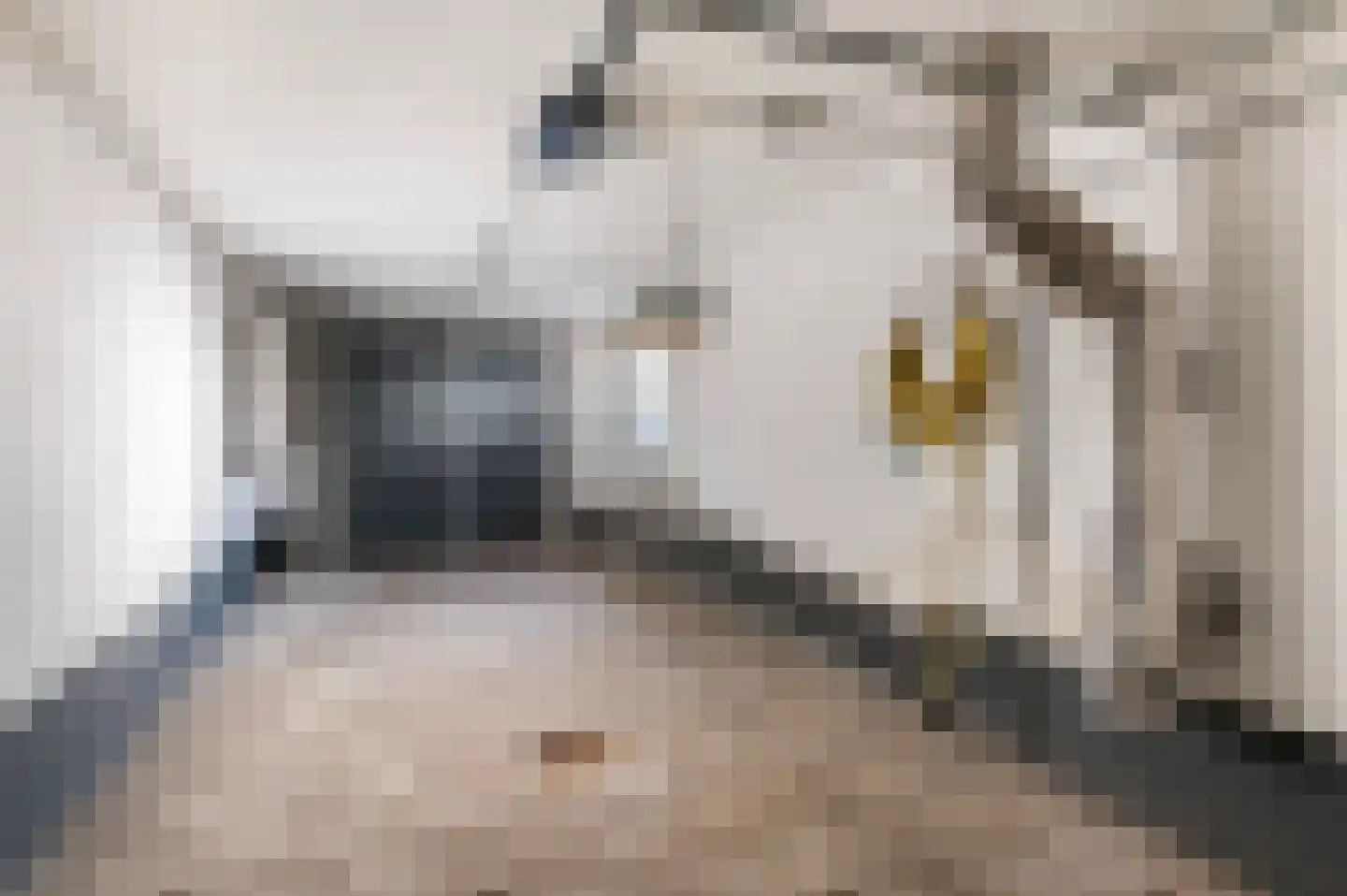 Jalinkstraat 38 Wierden thumbnail 44