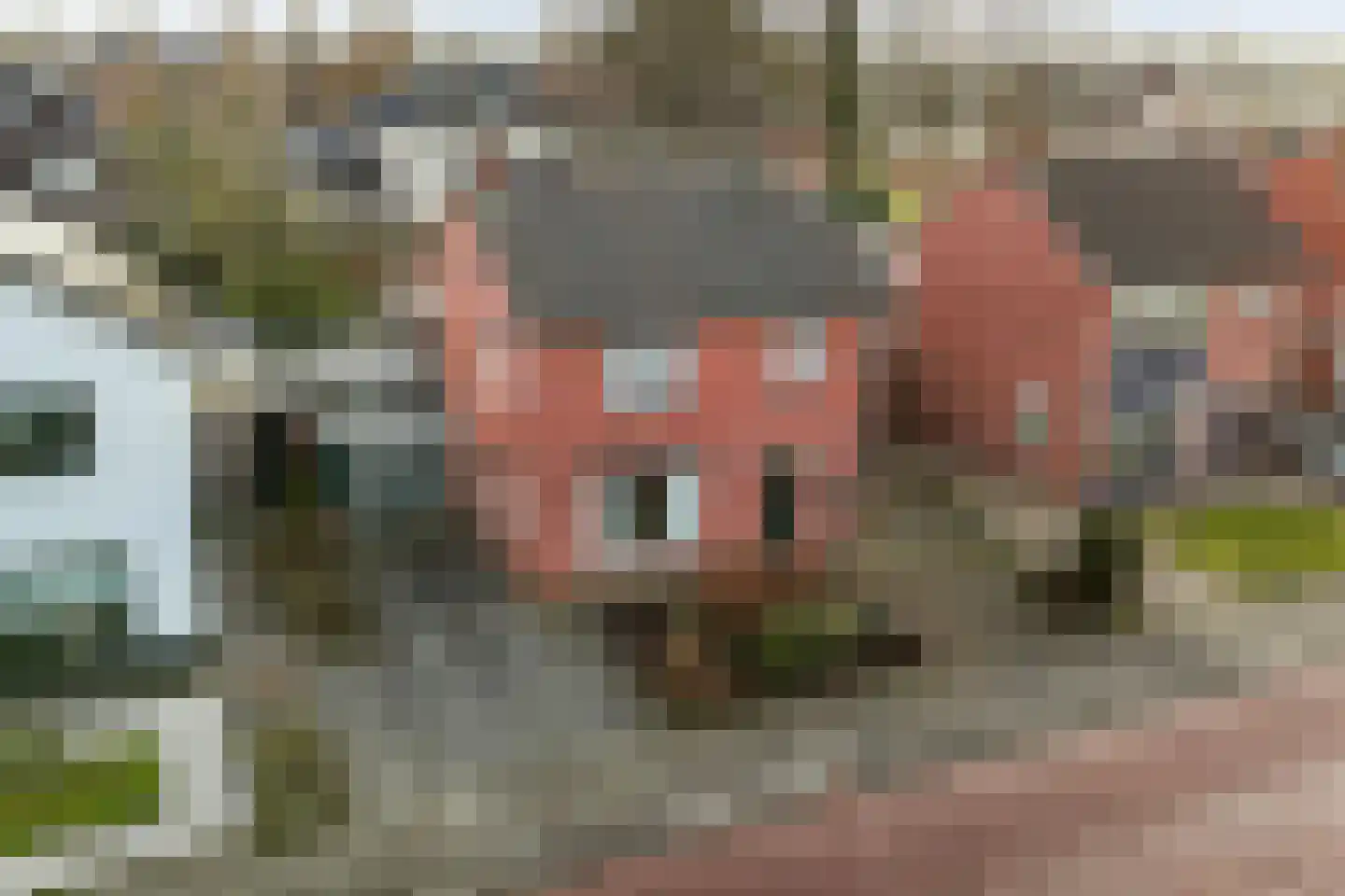 Jalinkstraat 38 Wierden thumbnail 47