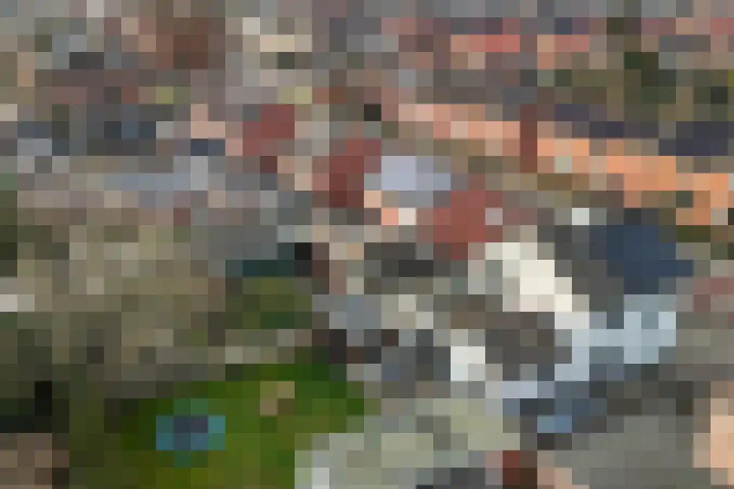 Jalinkstraat 38 Wierden thumbnail 48