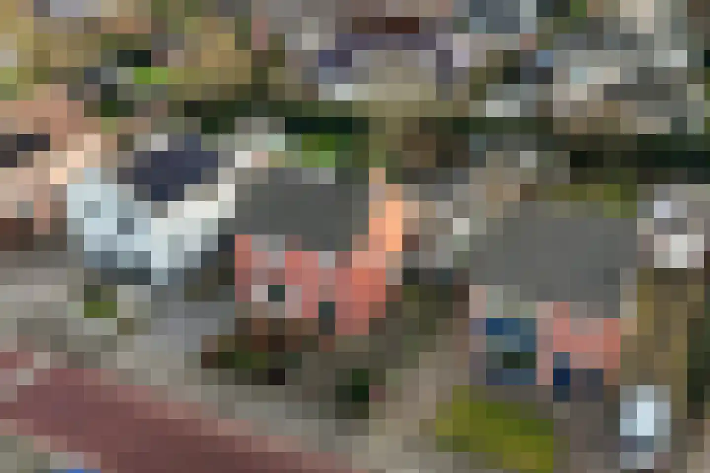 Jalinkstraat 38 Wierden thumbnail 49