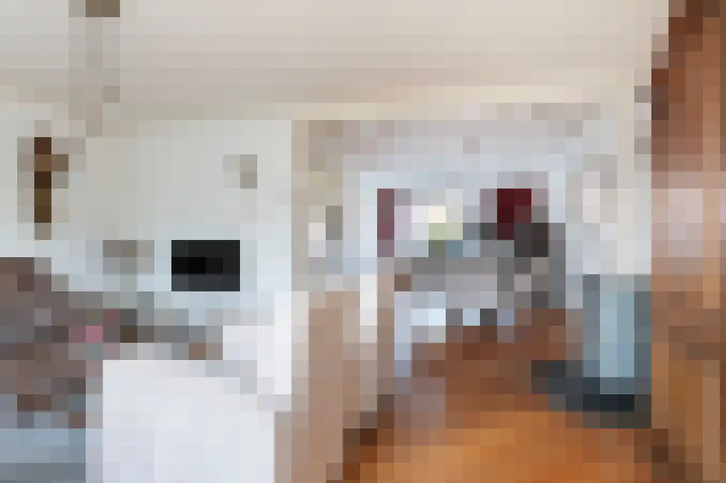Jalinkstraat 38 Wierden thumbnail 5