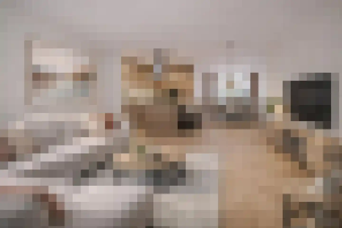 Jalinkstraat 38 Wierden thumbnail 6