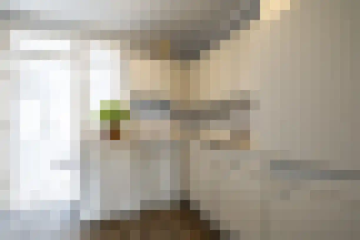Jalinkstraat 51 Wierden thumbnail 11