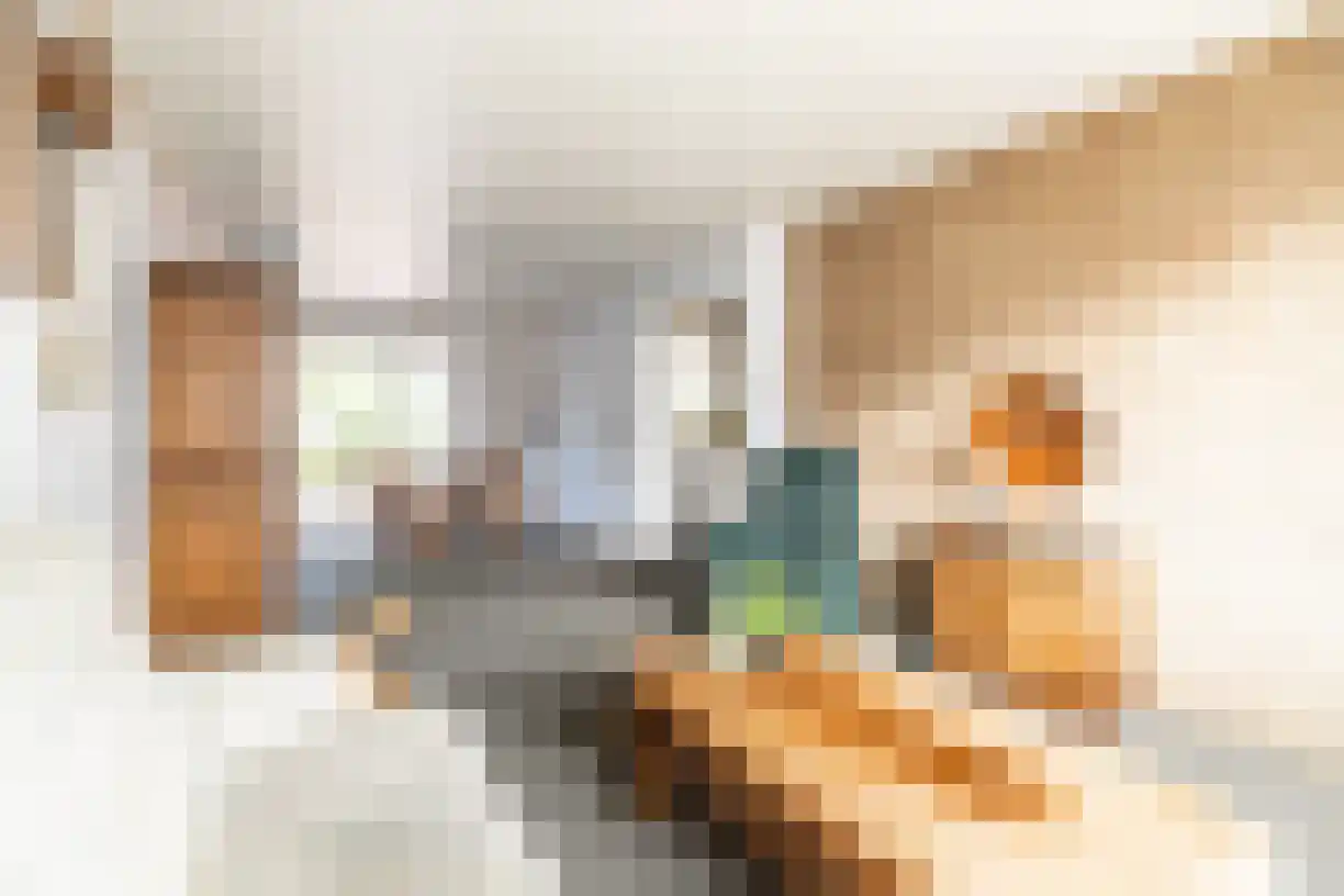 Jalinkstraat 51 Wierden thumbnail 16