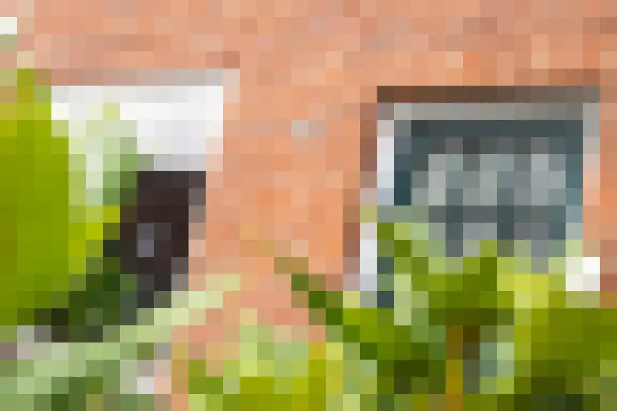 Jalinkstraat 51 Wierden thumbnail 7