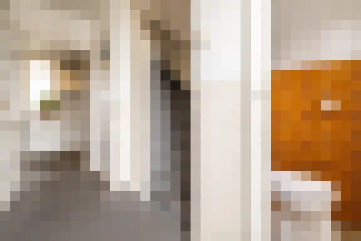Jalinkstraat 51 Wierden thumbnail 9