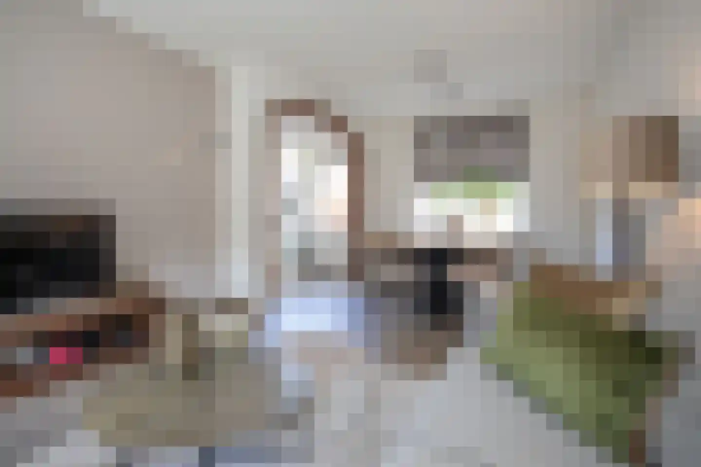 Jalinkstraat 53 Wierden thumbnail 17