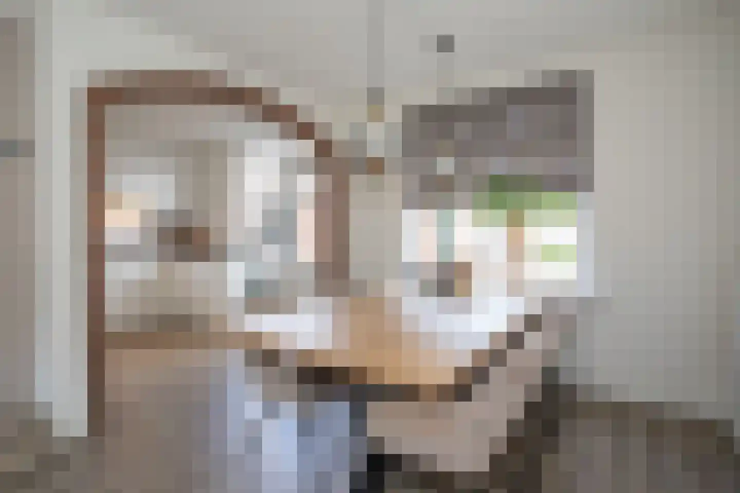 Jalinkstraat 53 Wierden thumbnail 18