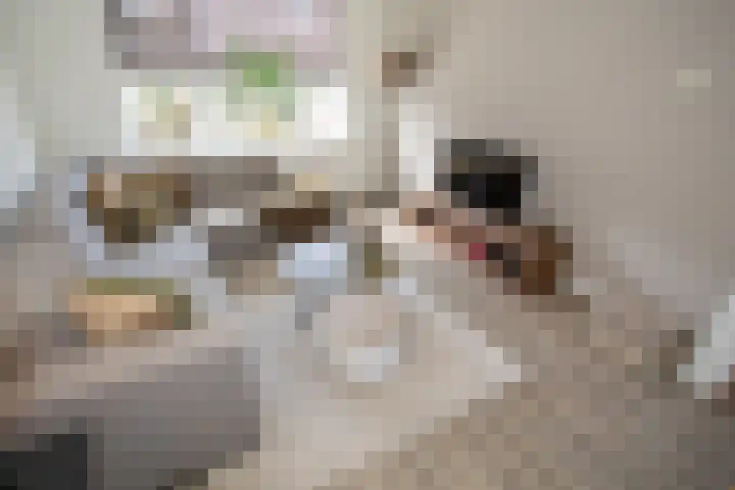 Jalinkstraat 53 Wierden thumbnail 20