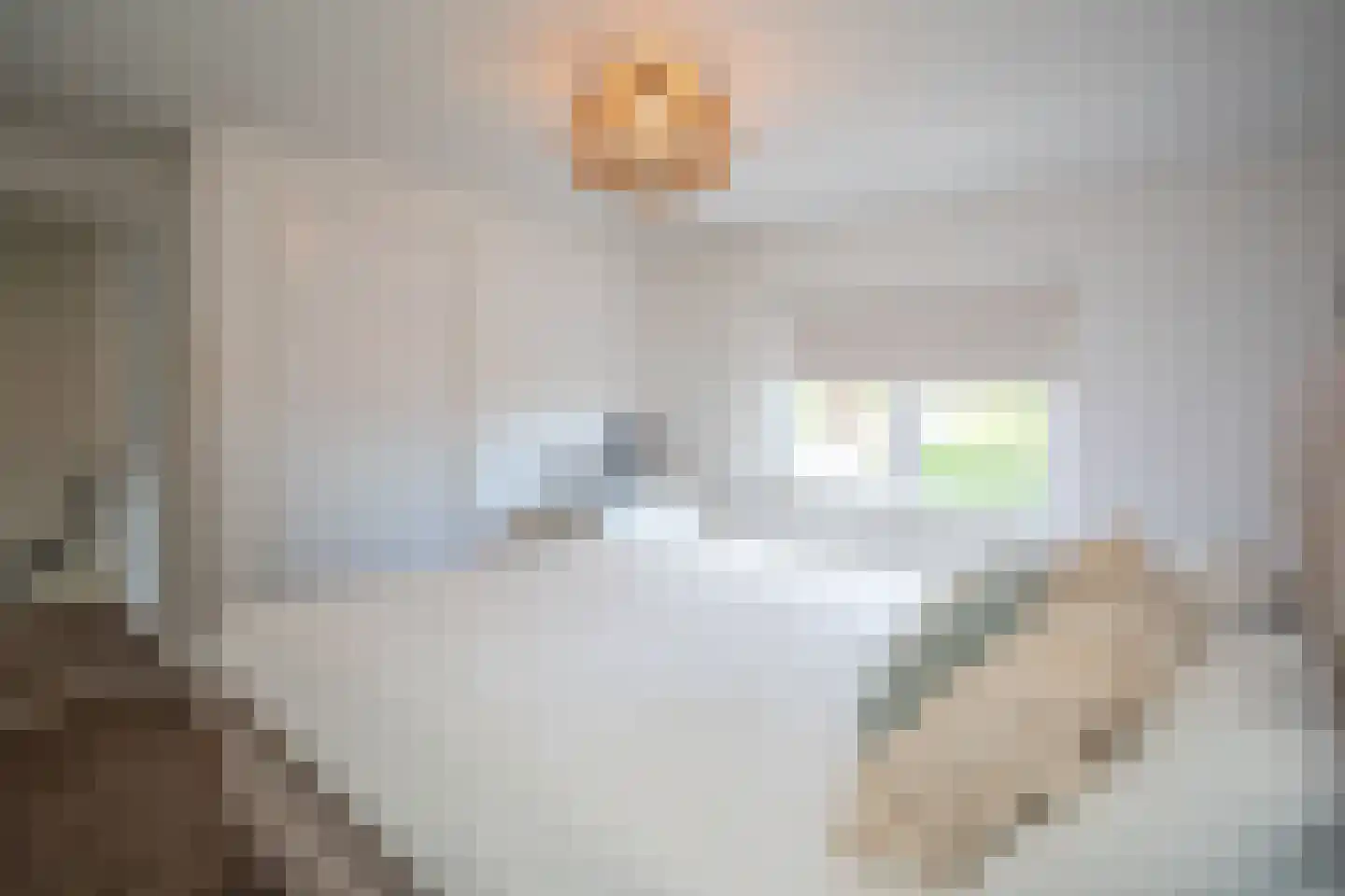 Jalinkstraat 53 Wierden thumbnail 29