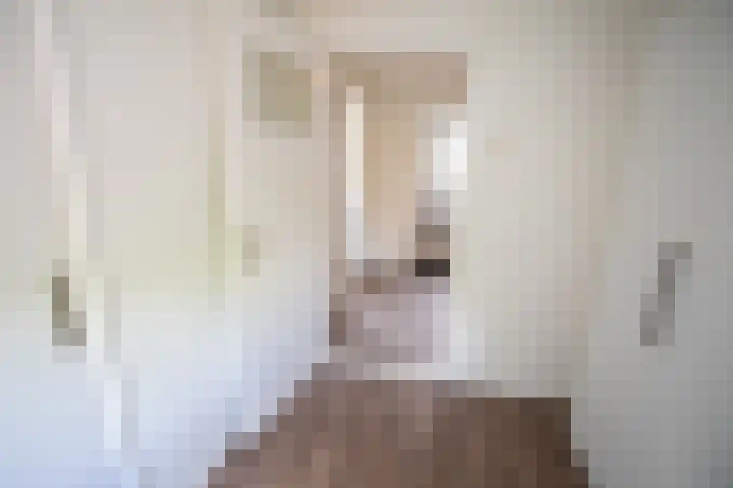 Jalinkstraat 53 Wierden thumbnail 32