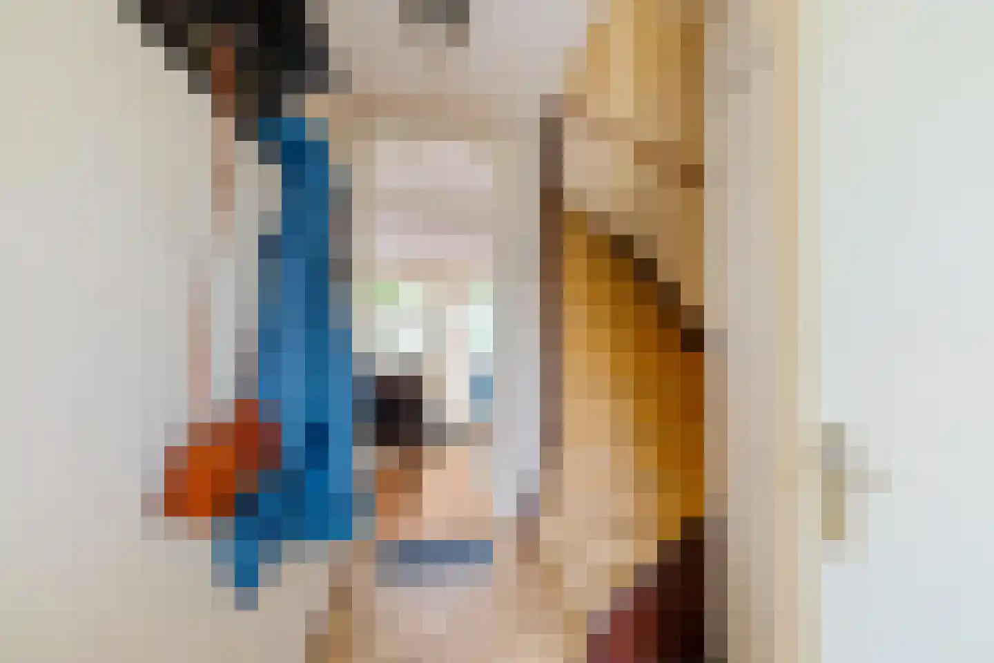 Jaltadaheerd 101 Groningen thumbnail 13