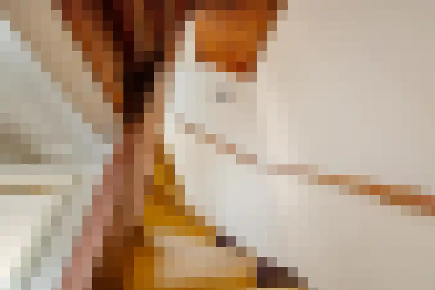 Jaltadaheerd 101 Groningen thumbnail 24