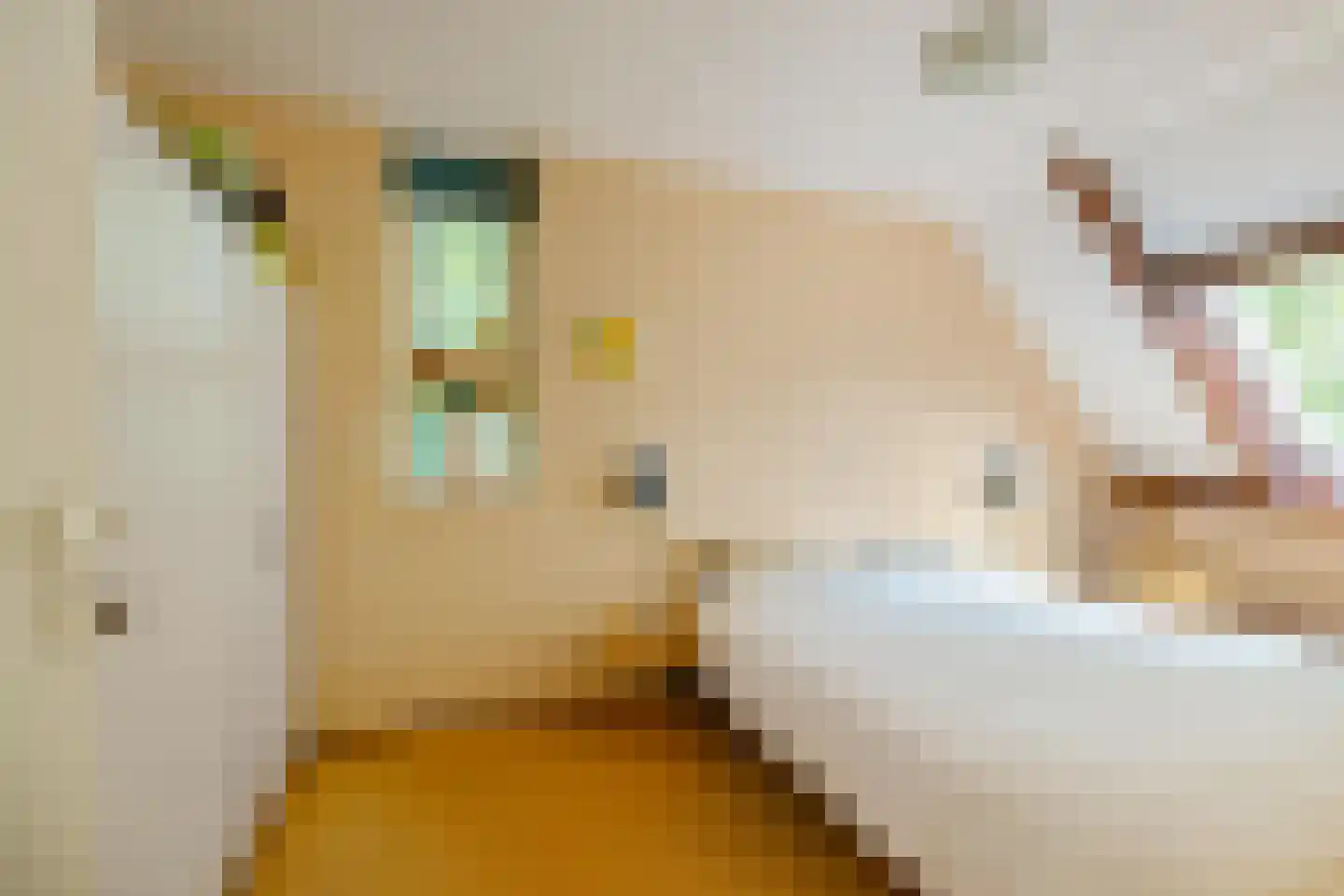 Jaltadaheerd 101 Groningen thumbnail 26