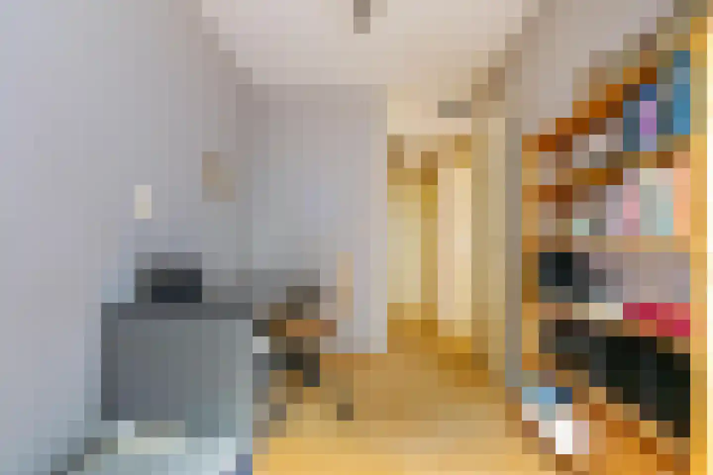Jaltadaheerd 101 Groningen thumbnail 30