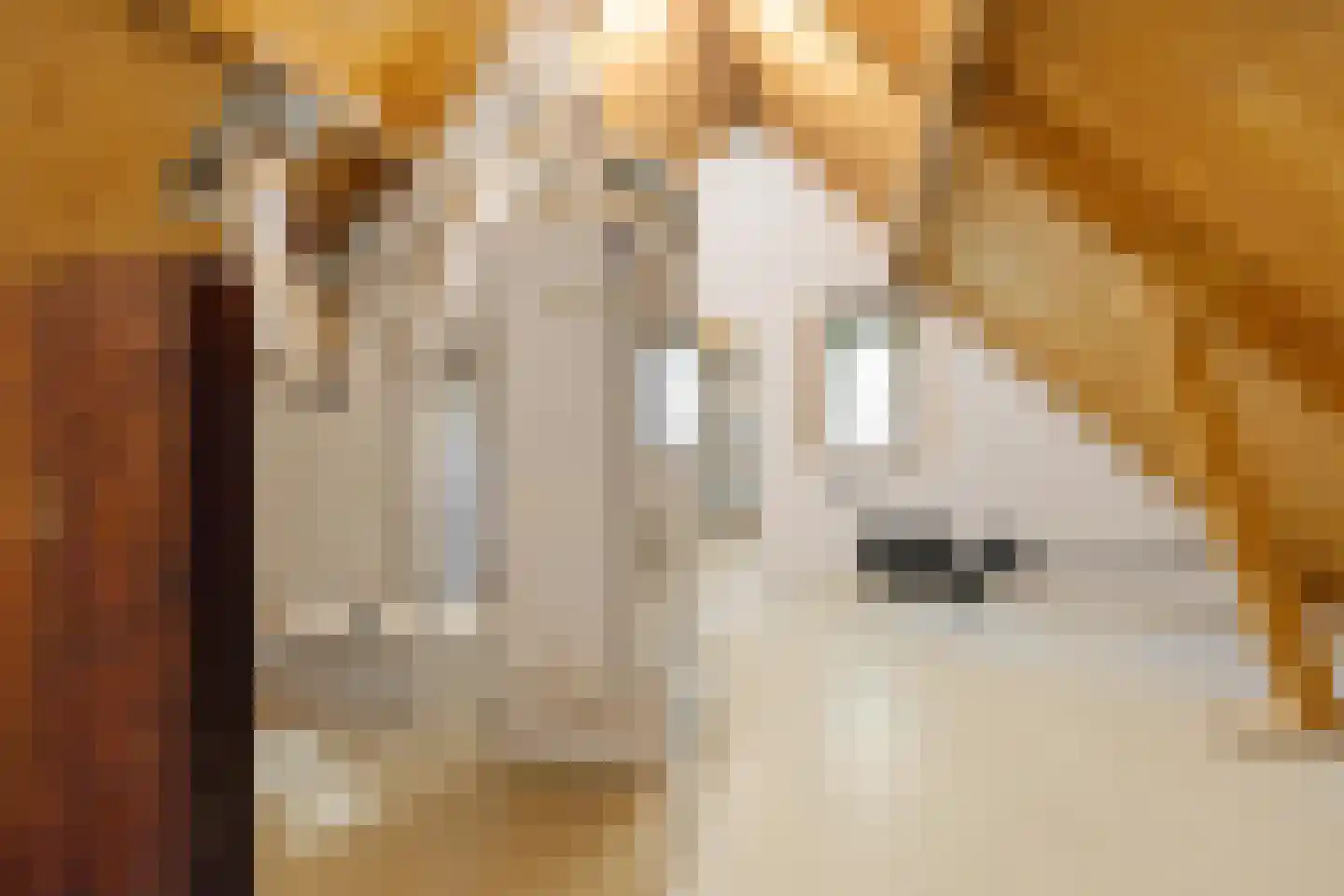 Jaltadaheerd 101 Groningen thumbnail 39