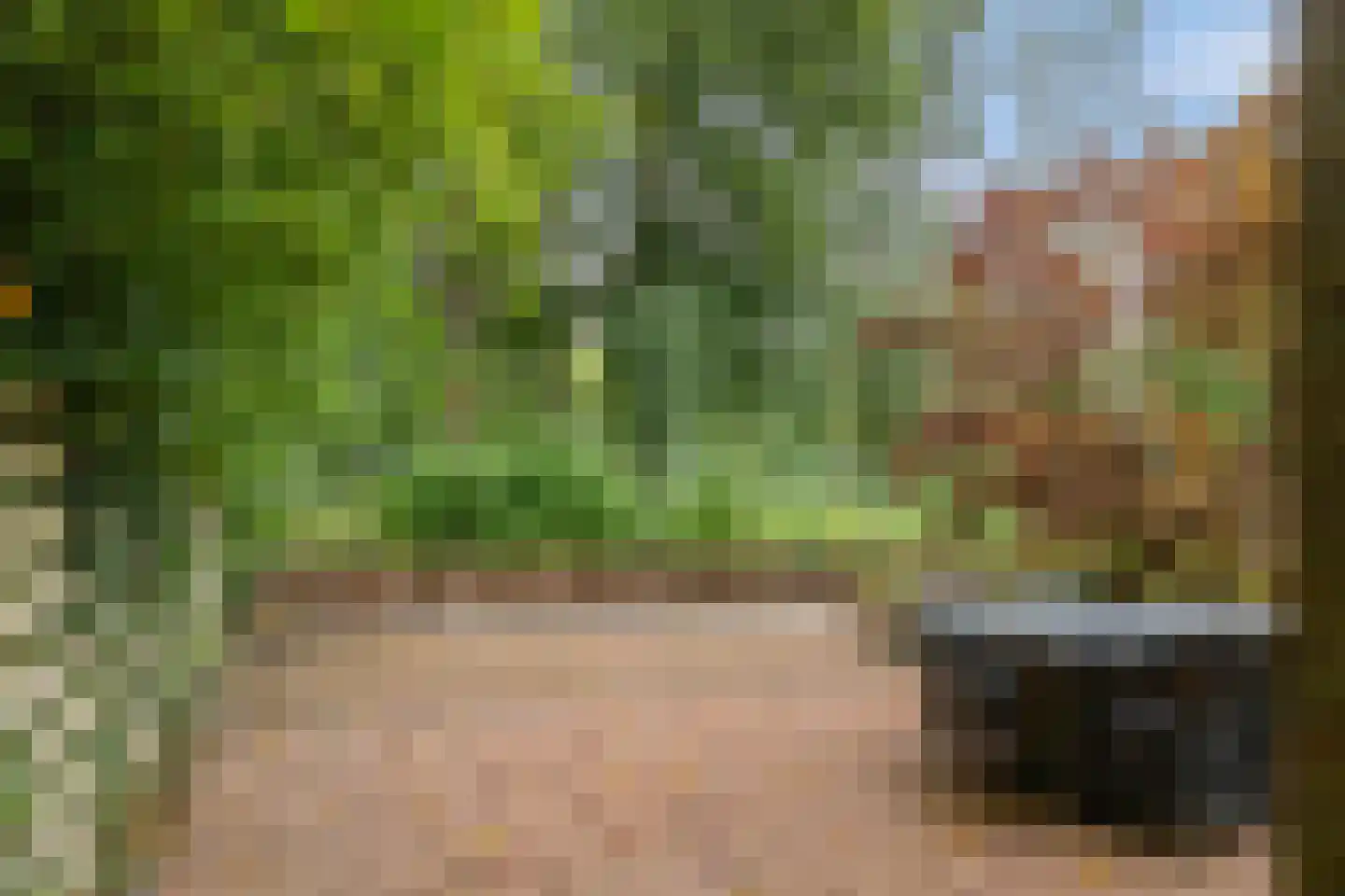 Jaltadaheerd 101 Groningen thumbnail 4