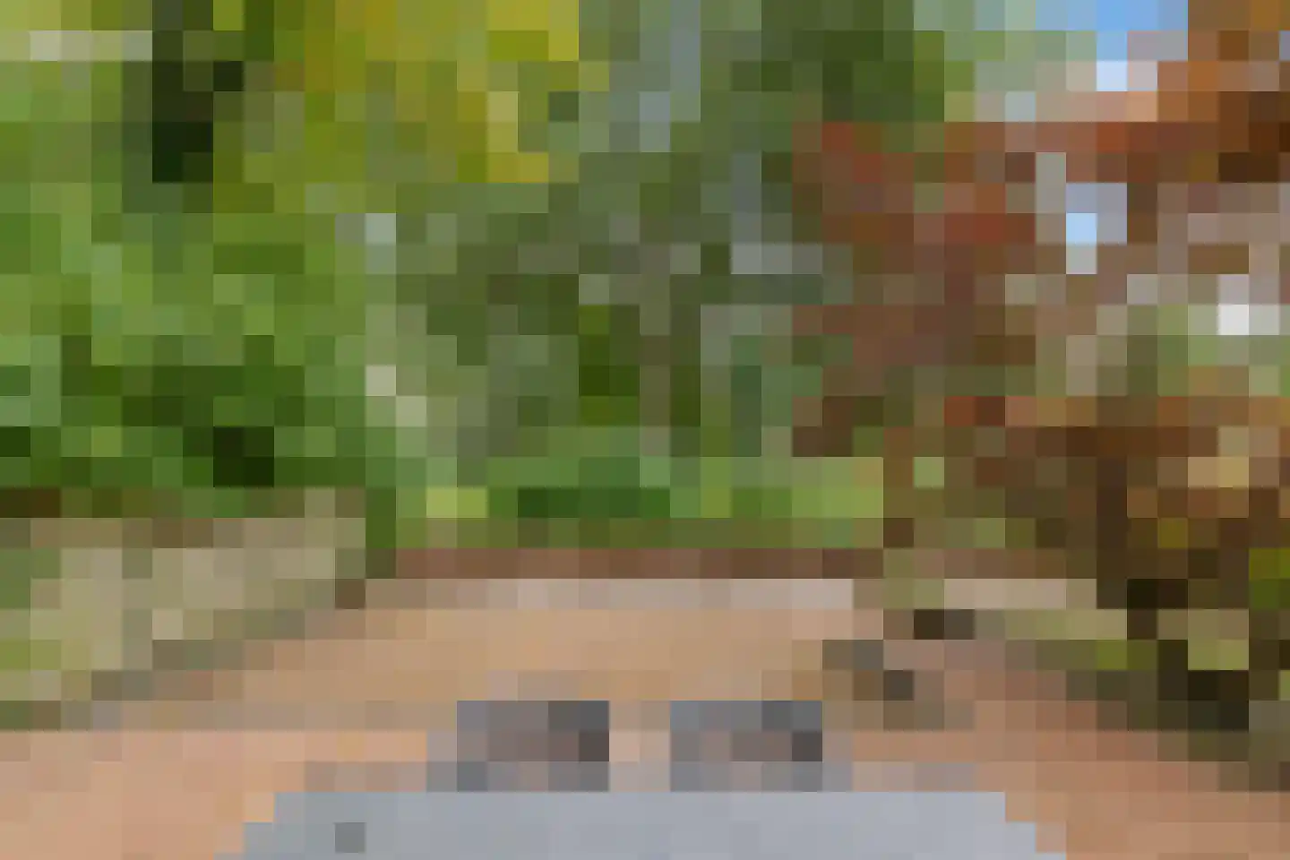 Jaltadaheerd 101 Groningen thumbnail 41