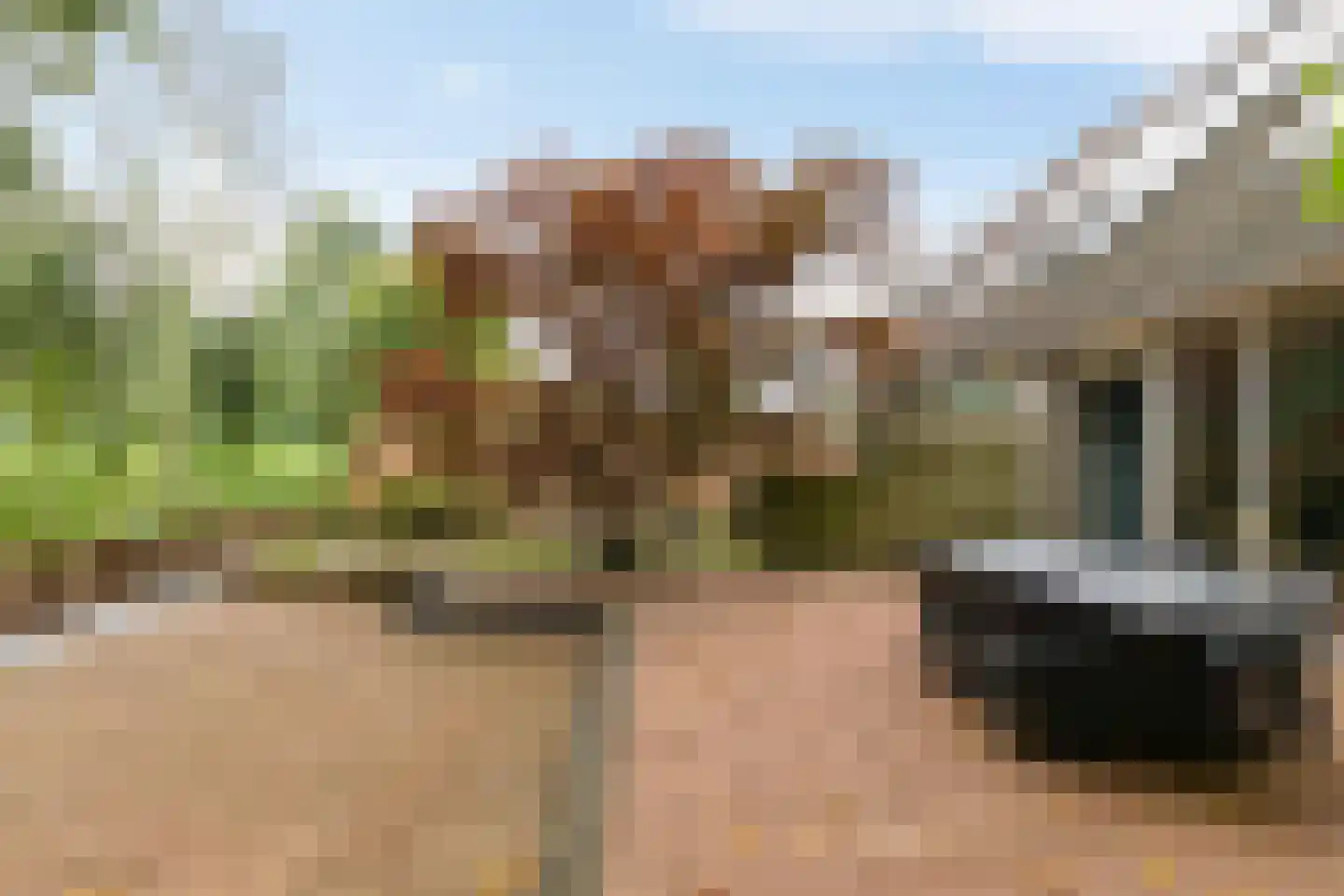 Jaltadaheerd 101 Groningen thumbnail 42