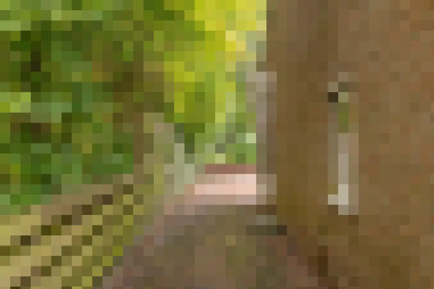 Jaltadaheerd 101 Groningen thumbnail 43