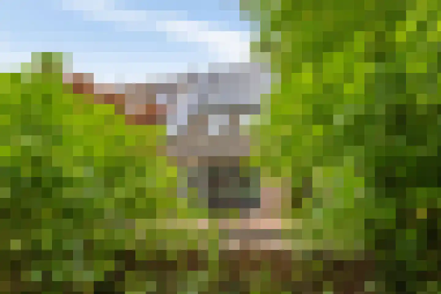 Jaltadaheerd 101 Groningen thumbnail 44