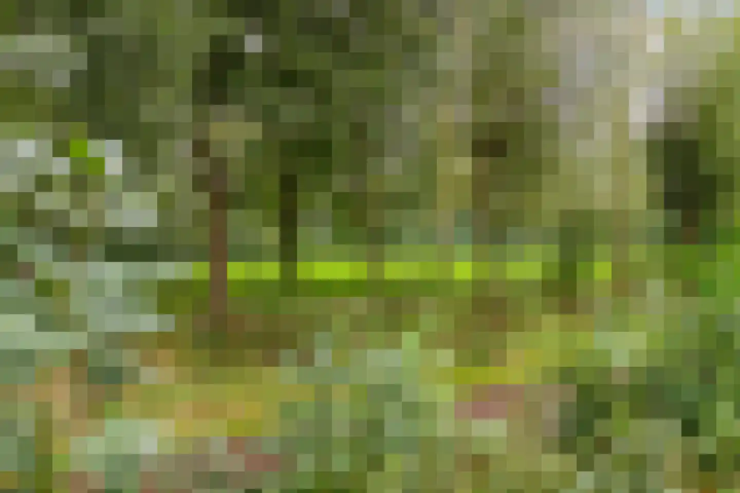 Jaltadaheerd 101 Groningen thumbnail 45