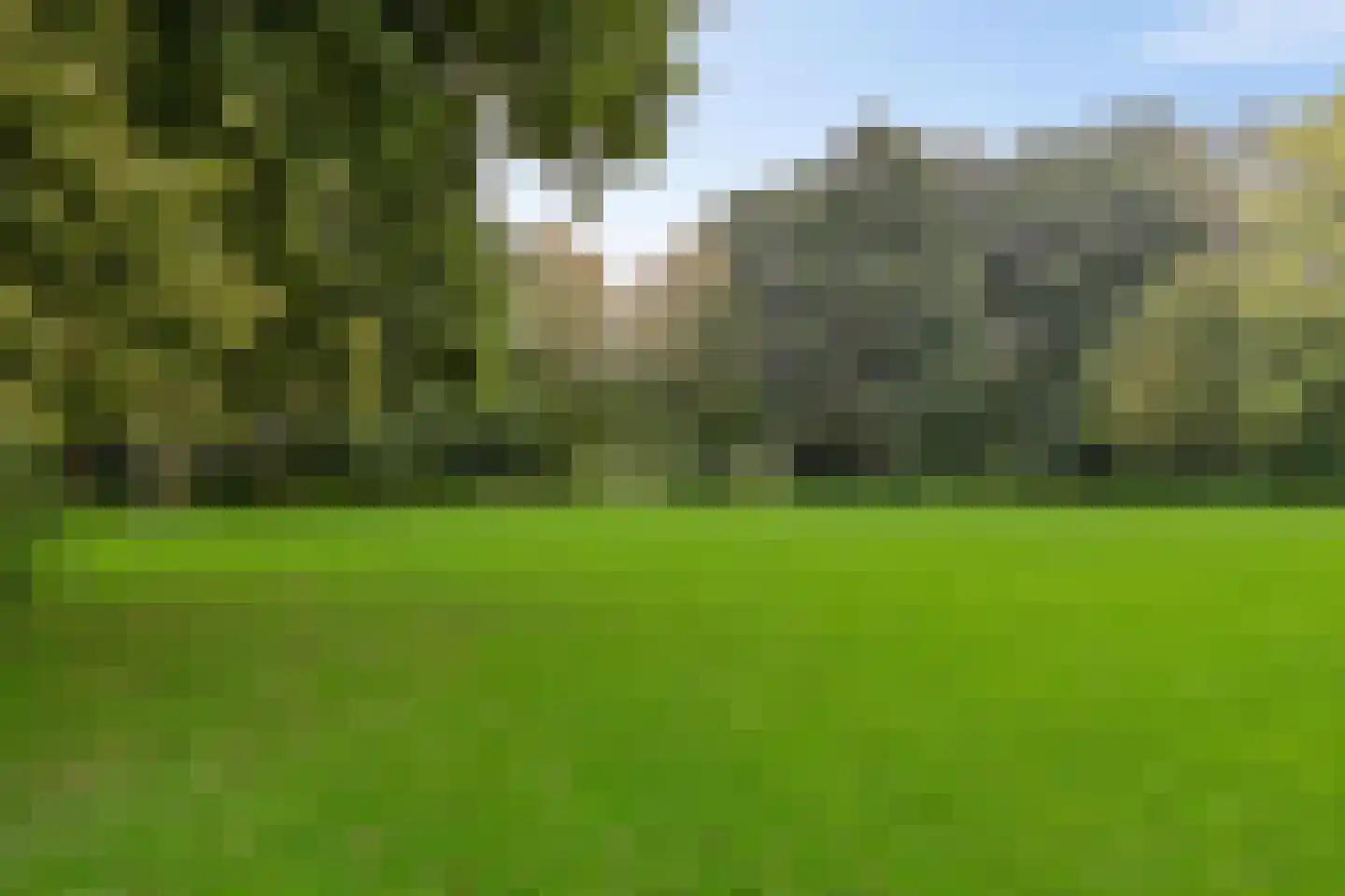 Jaltadaheerd 101 Groningen thumbnail 5