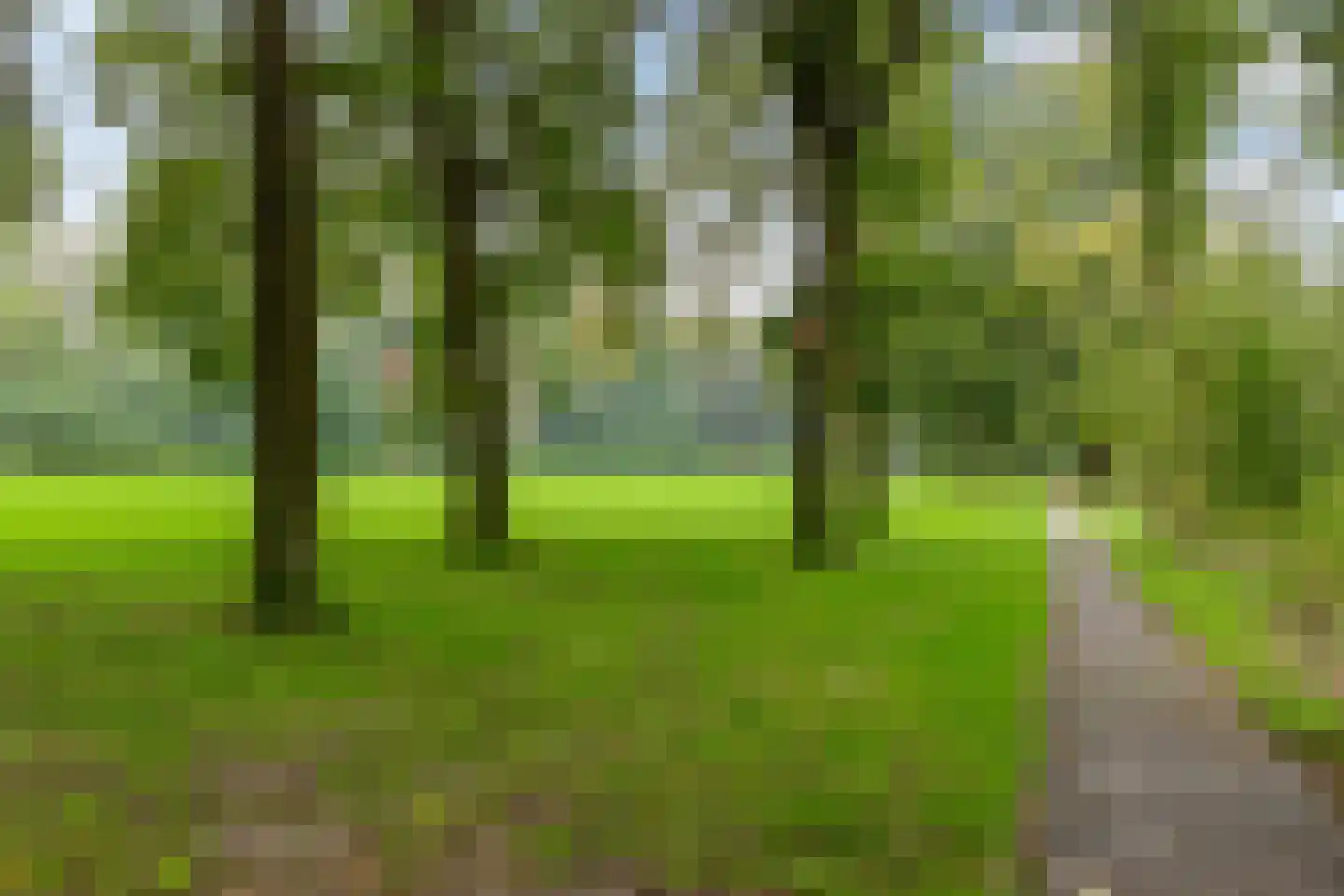 Jaltadaheerd 101 Groningen thumbnail 6