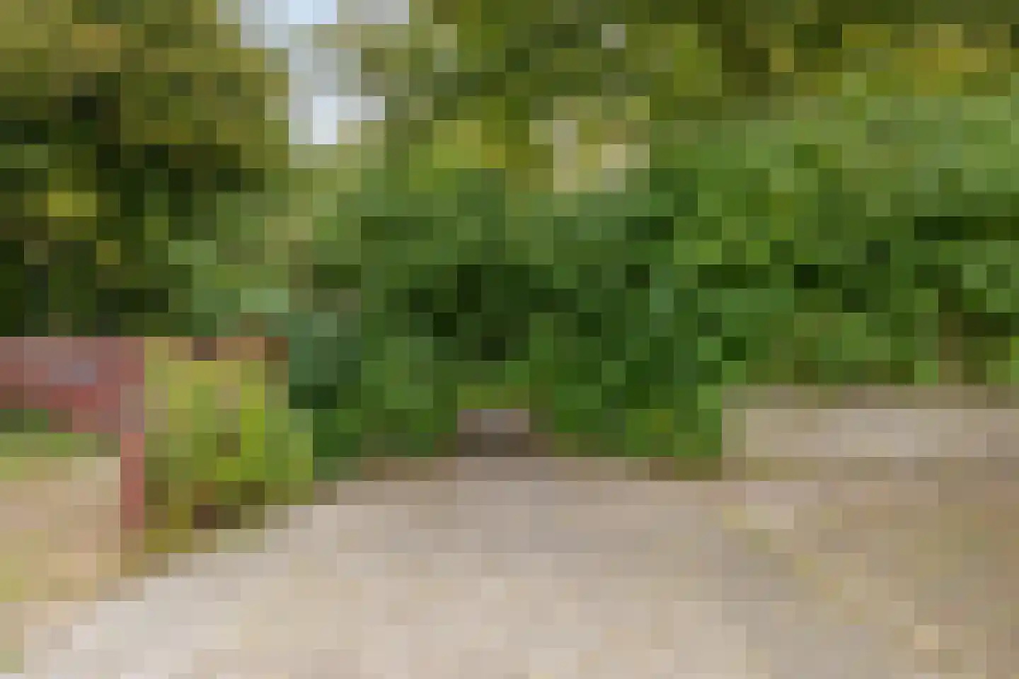 Jaltadaheerd 101 Groningen thumbnail 8