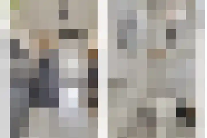 Jaltadaheerd 165 Groningen thumbnail 11