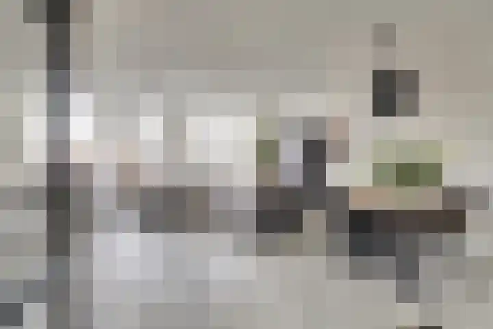 Jaltadaheerd 165 Groningen thumbnail 12