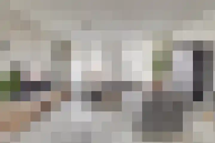 Jaltadaheerd 165 Groningen thumbnail 13