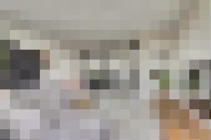 Jaltadaheerd 165 Groningen thumbnail 14