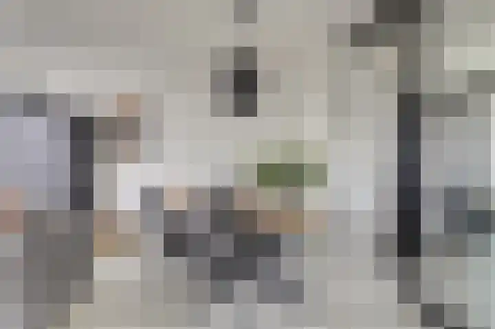 Jaltadaheerd 165 Groningen thumbnail 15