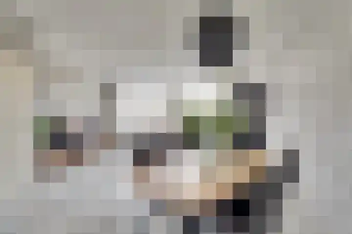 Jaltadaheerd 165 Groningen thumbnail 16
