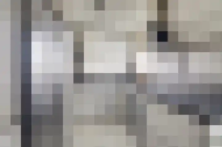 Jaltadaheerd 165 Groningen thumbnail 18