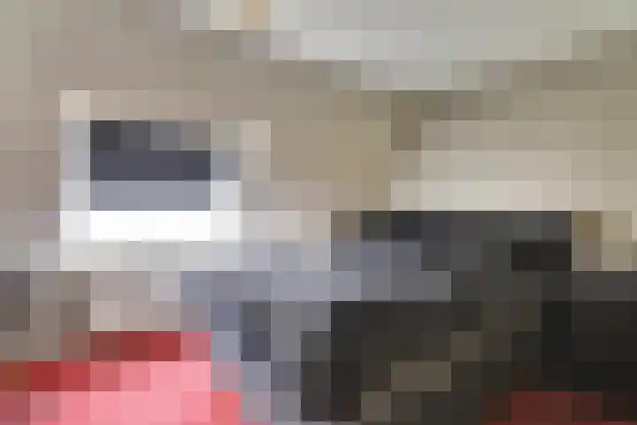 Jaltadaheerd 165 Groningen thumbnail 21