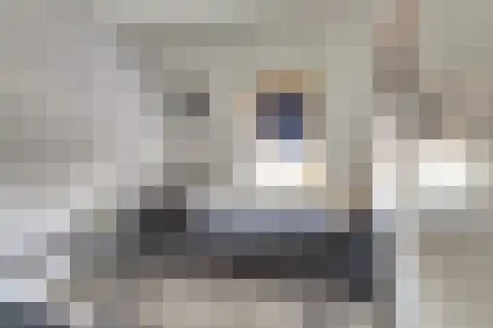 Jaltadaheerd 165 Groningen thumbnail 23
