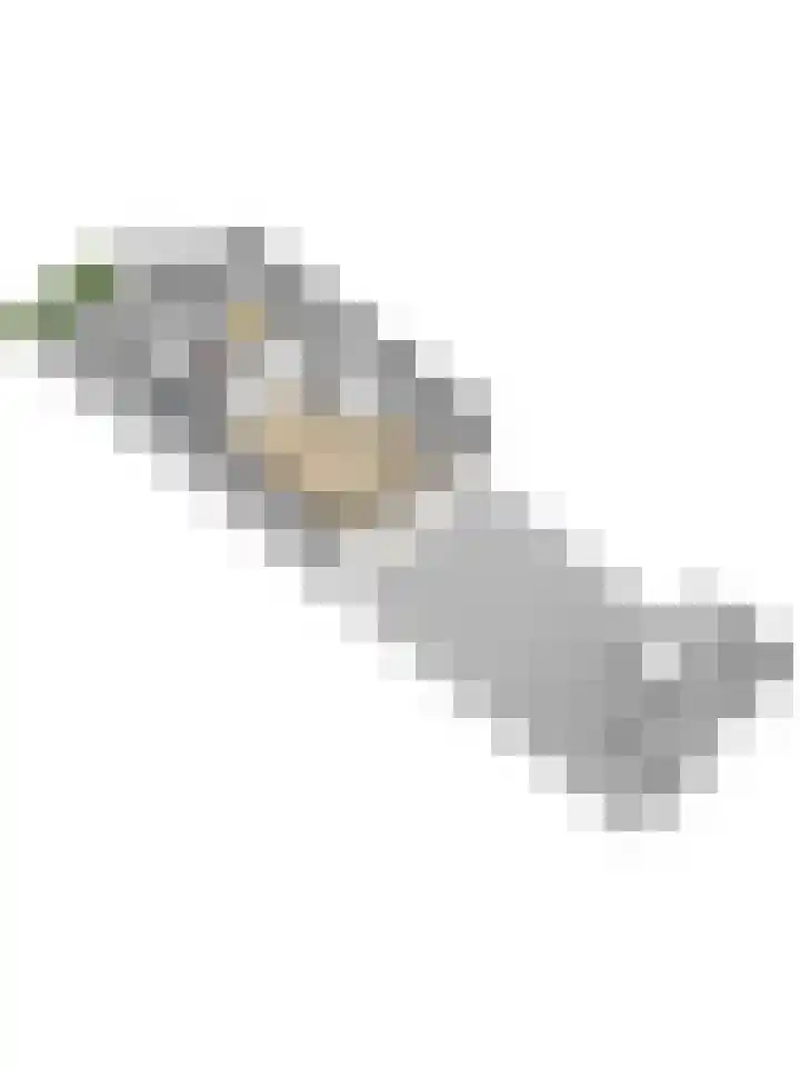 Jaltadaheerd 165 Groningen thumbnail 39