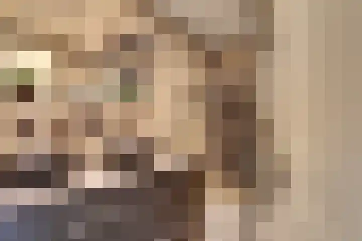 Jaltadaheerd 165 Groningen thumbnail 4