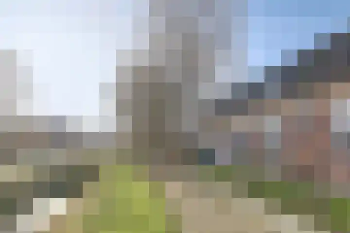 Jaltadaheerd 165 Groningen thumbnail 5